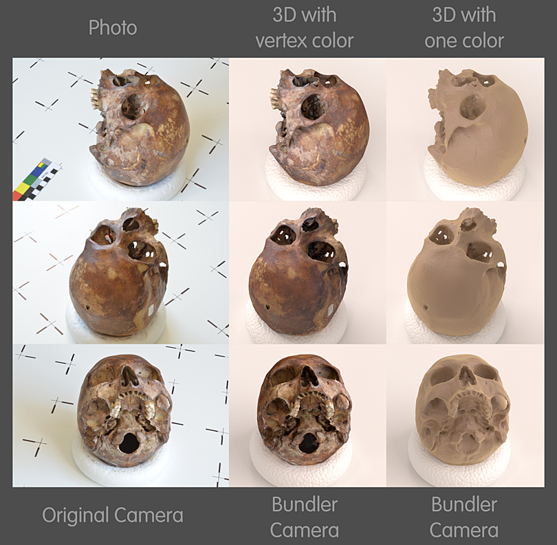 A photographed skull beside its 3D reconstruction with vertex color and plain geometry